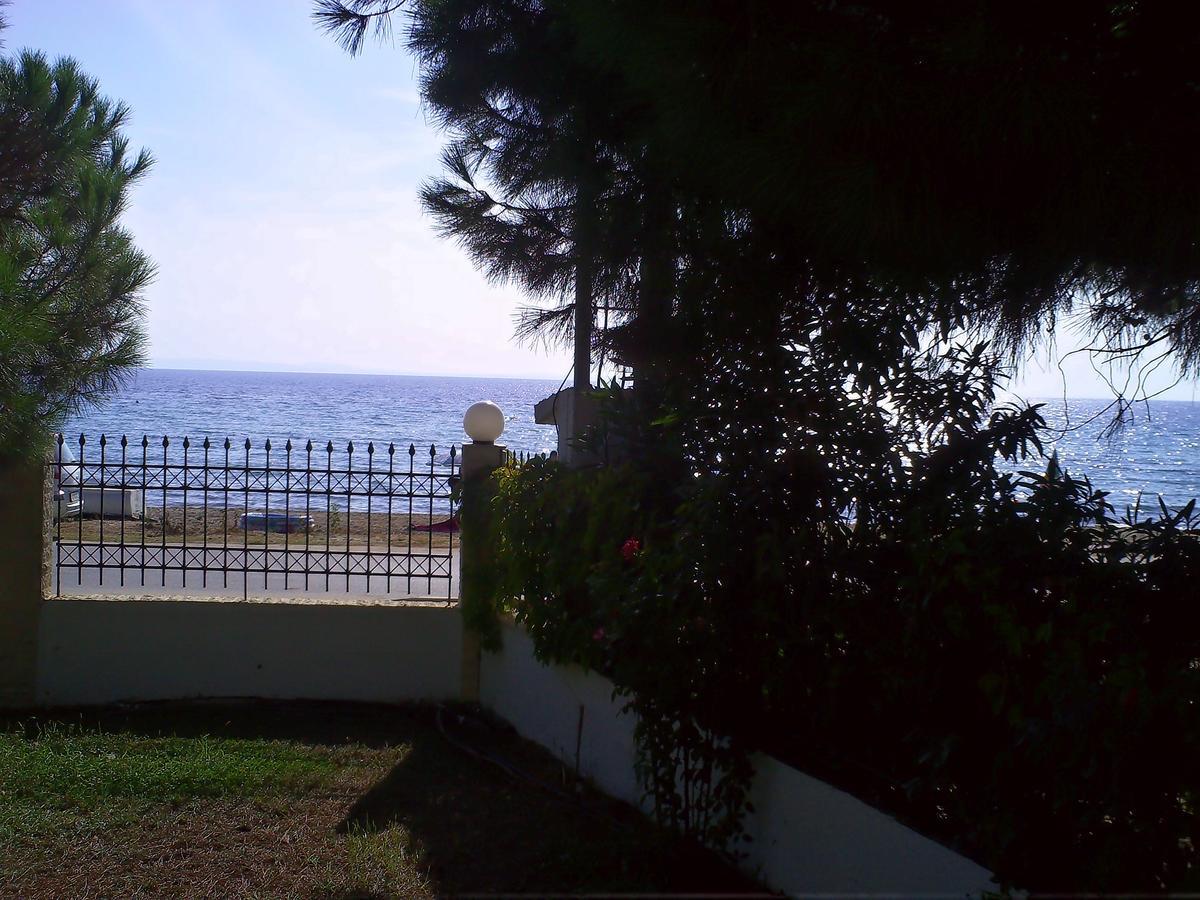 House Anna Apartment Nikiti  Bagian luar foto